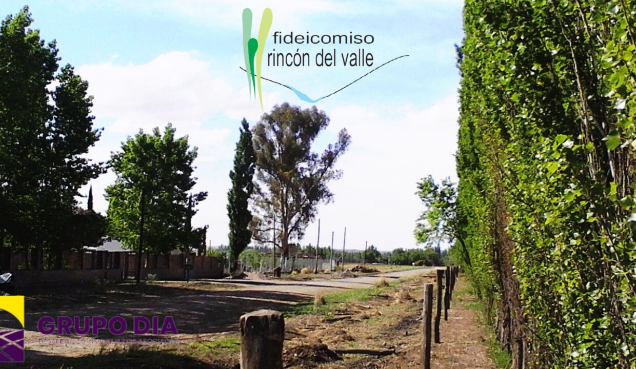 Rincon del valle web 13