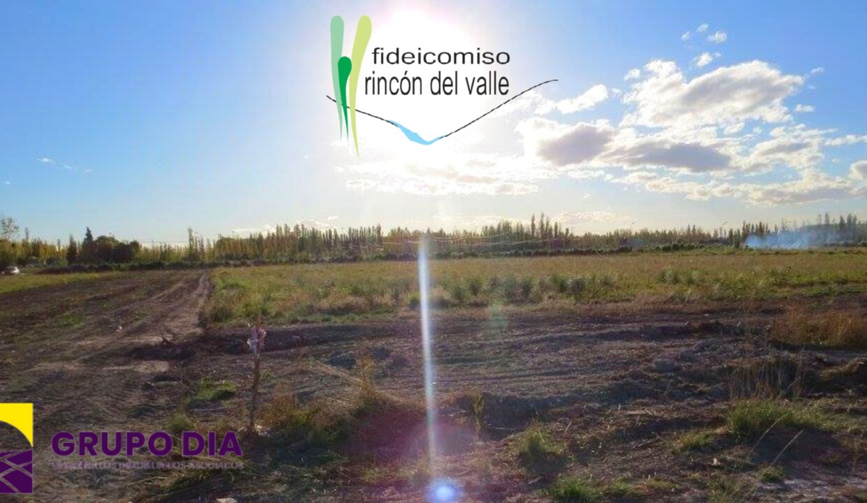 Rincon del valle web 8