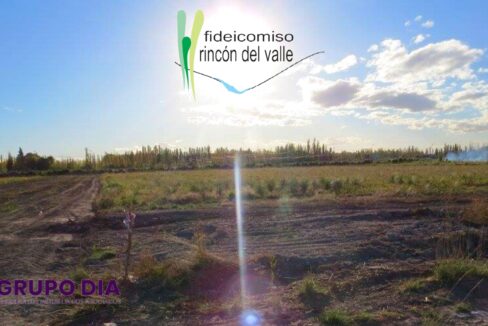 Rincon del valle web 8