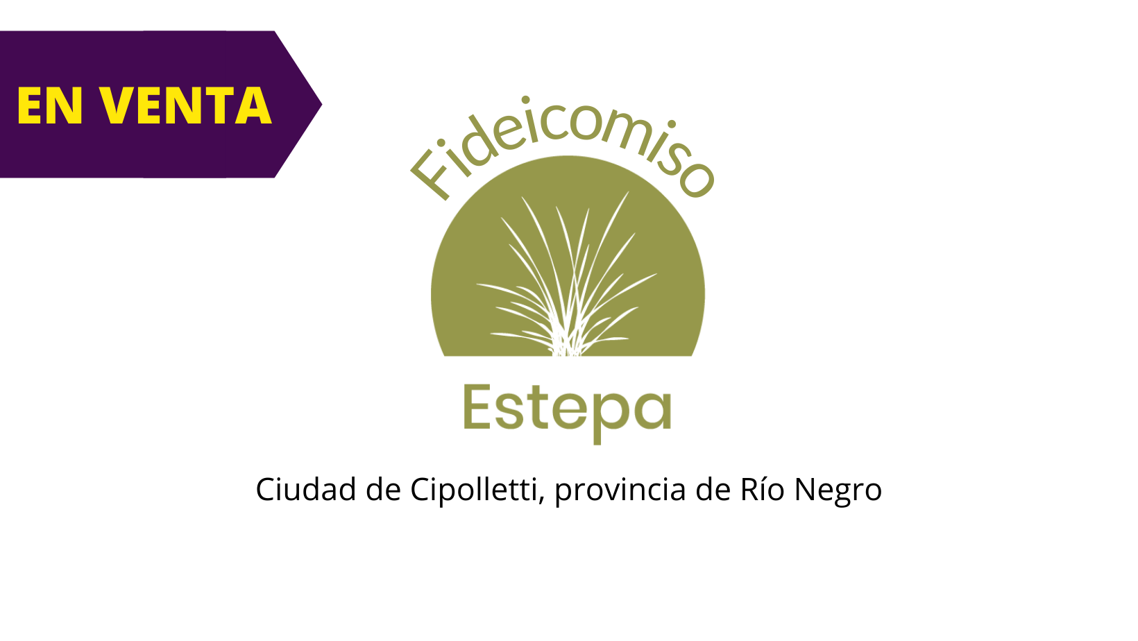 Estepa – Cipolletti